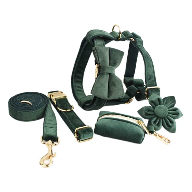 Velvet Forest Teal Set