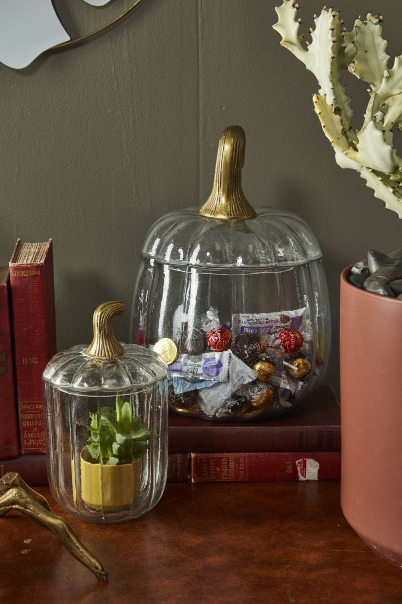 TRANSLUCENT PUMPKIN TERRARIUM