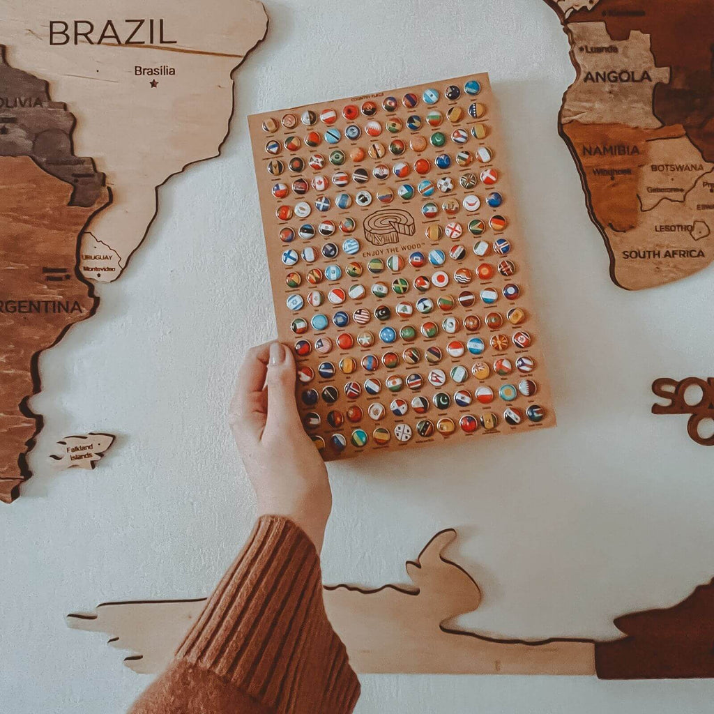 Bundle: Map and Flags Pins