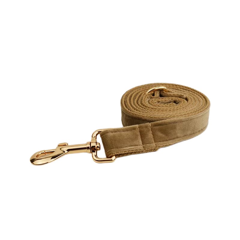 Shallow Khaki Velvet Set
