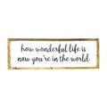 How Wonderful Life Is Framed Saying